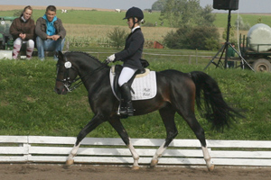 VITO v. Visconti x Top Dark Dream - erfolgreichstes 6-jähriges MV-Dressurpony. Foto: Wego